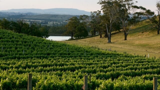 a8bf63004f7fbbf3fbadedefd5f320fa_-victoria-macedon-ranges-shire-baynton-granite-hills-winery-03-5423-7273html.jpg